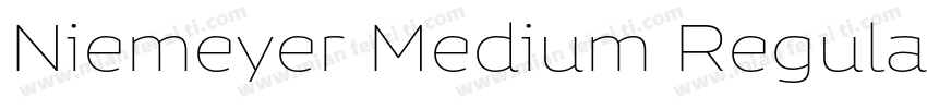 Niemeyer Medium Regular字体转换